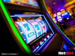 rollspg - Login Oficial Bet